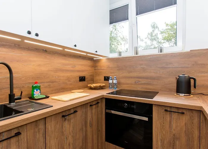 Klimatyczny Na Gdańskim Starym Mieście Apartament *